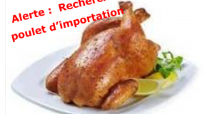 Alerte :  Recherche poulet d’importation