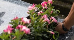 Monument funéraire dans un cimetière : en cas de dégradation ?